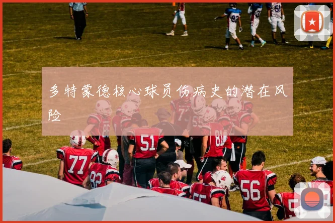 多特蒙德核心球员伤病史的潜在风险