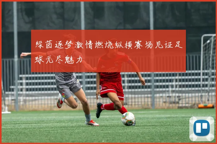 绿茵逐梦激情燃烧纵横赛场见证足球无尽魅力