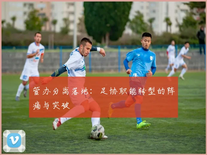 管办分离落地：足协职能转型的阵痛与突破