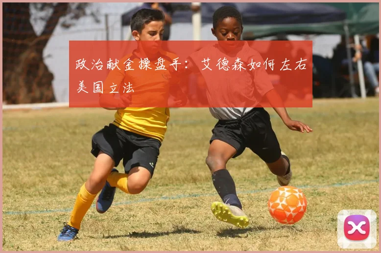 政治献金操盘手：艾德森如何左右美国立法