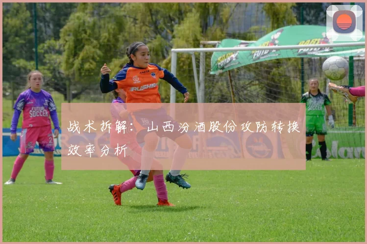 战术拆解：山西汾酒股份攻防转换效率分析