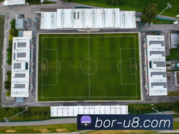 台球技巧全解析：从基础知识到高手进阶的全面指南